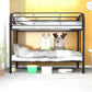 Twin over twin metal bunk bed
